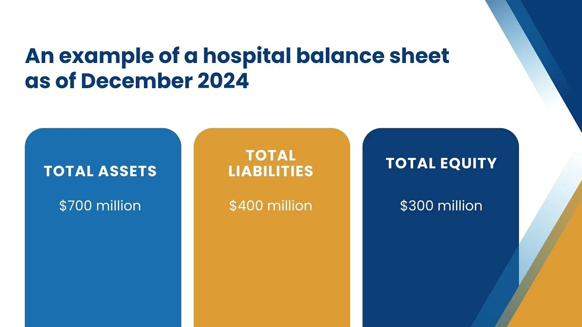 An example of a hospital balance sheet as of December 2024